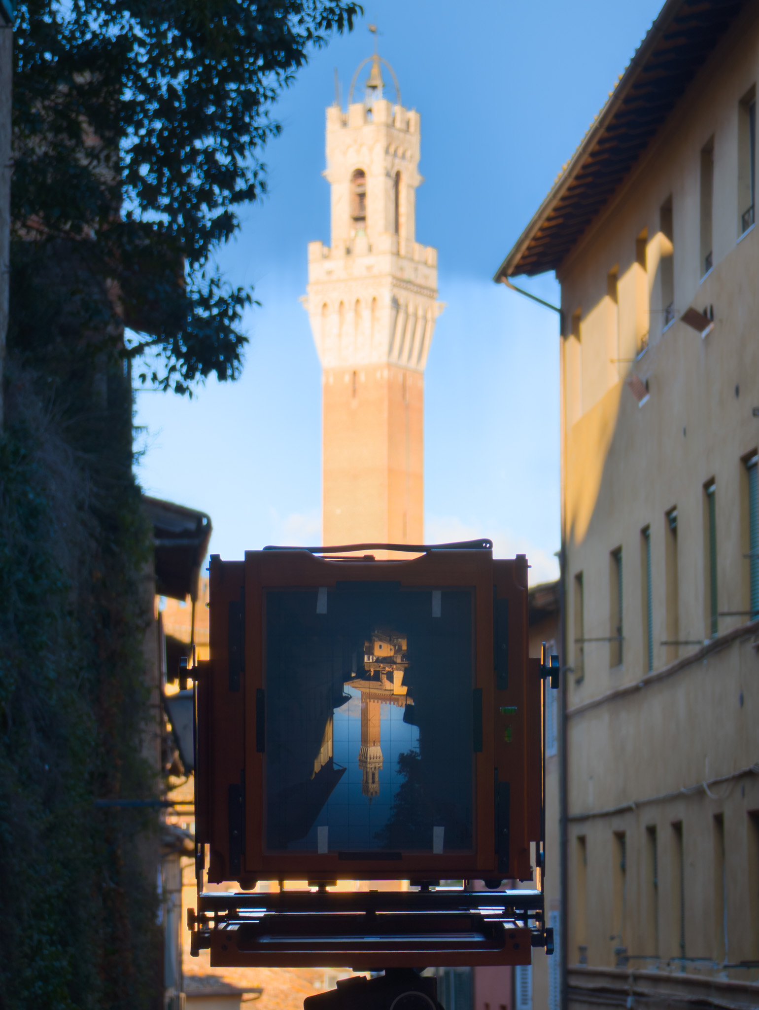 Io ed il mio banco ottico, per Siena